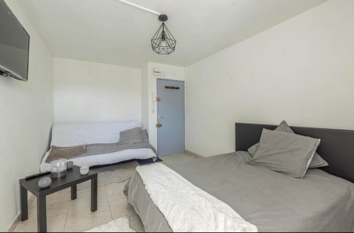 Apartamento Grand Doté D'une Terasse Avec Magnifique Vue Montpellier